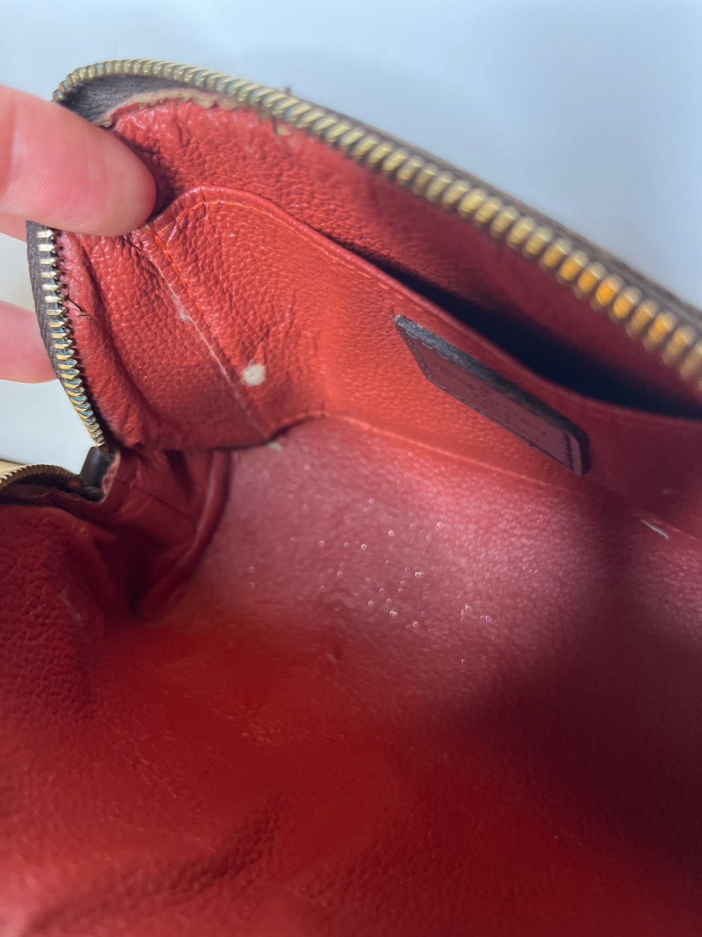 Louis Vuitton make-up Pouch