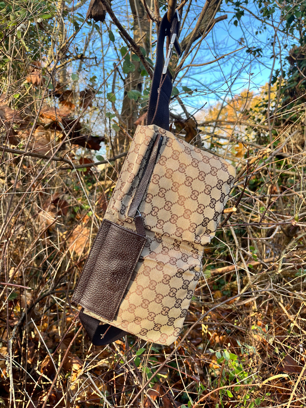 Gucci bumbag